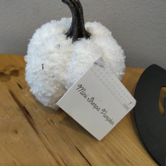 TWO Halloween spatulas You've been BOO'd mini sherpa pumpkin food d/w safe NWT - Picture 4 of 7